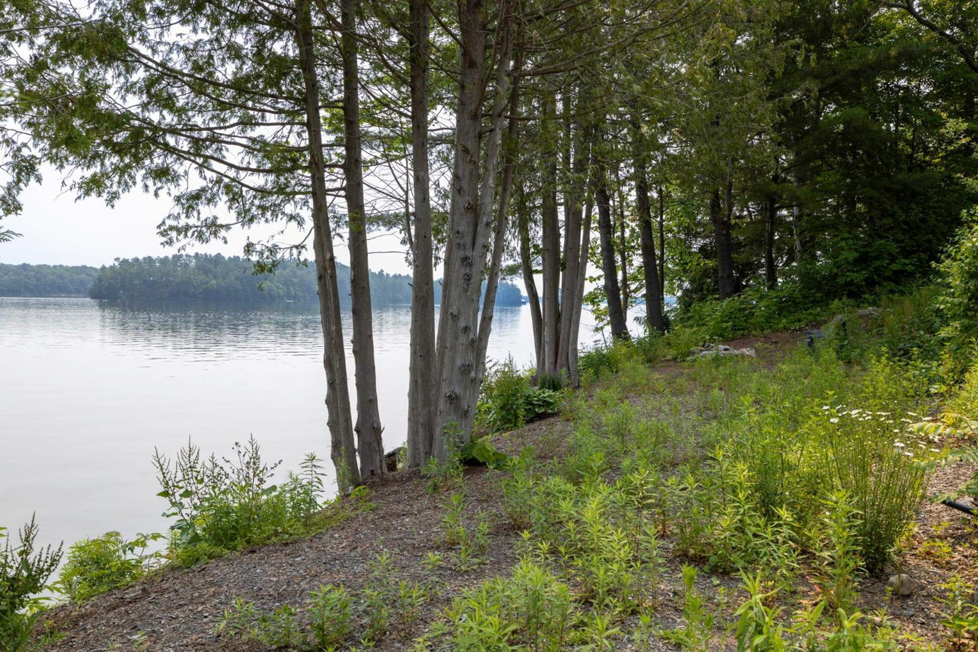 Tranquil Shores Mactier Bagian luar foto